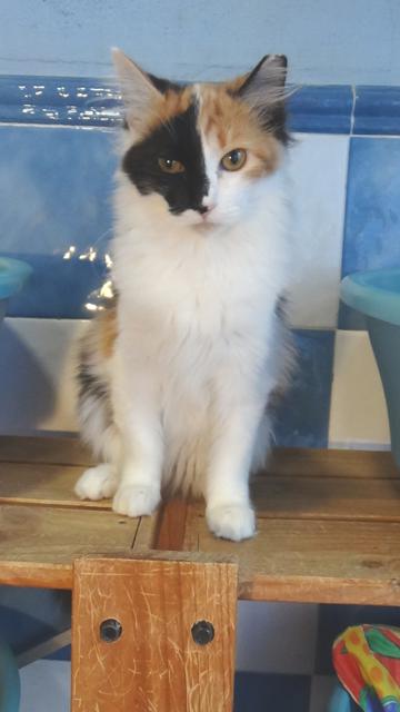 multimedia-foto41850-627-3