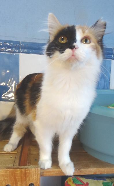 multimedia-foto41851-627-3