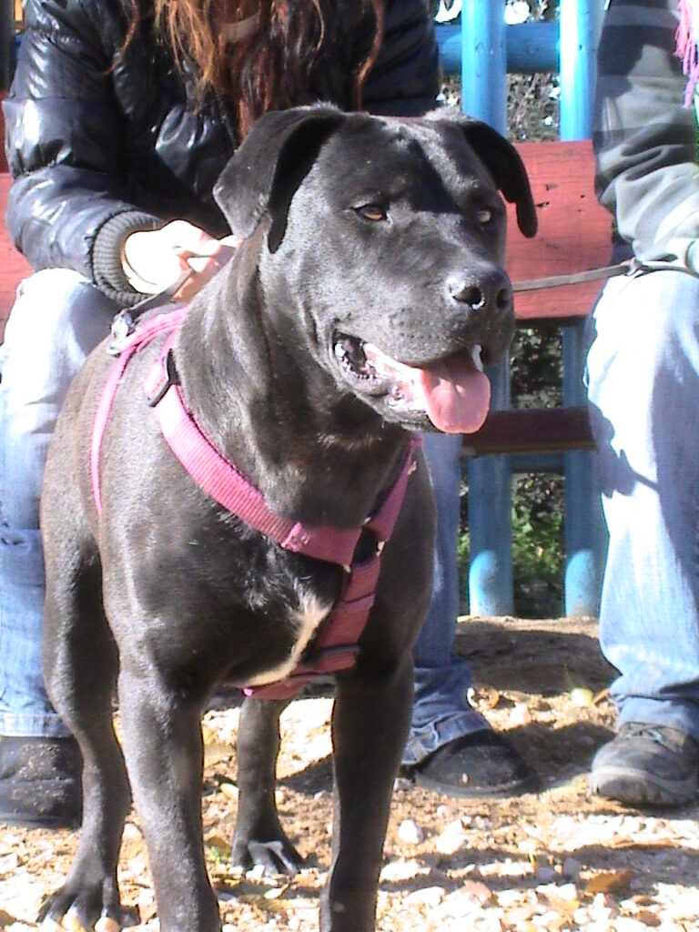 multimedia-foto41864-516-3