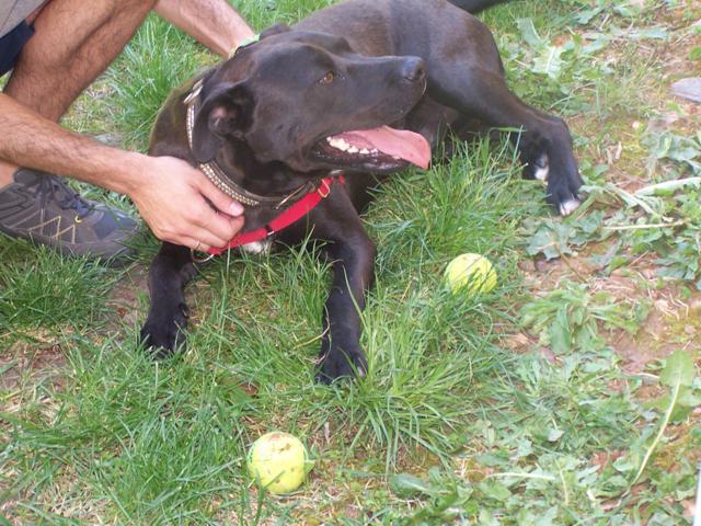 multimedia-foto41866-516-3