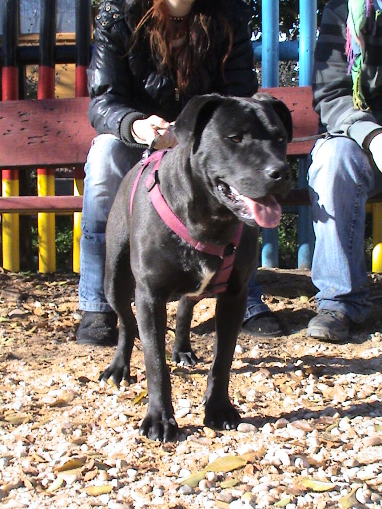 multimedia-foto41867-516-3