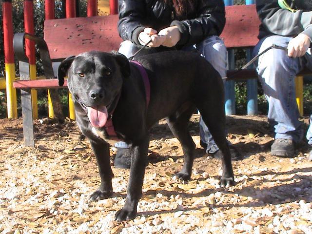 multimedia-foto41868-517-3