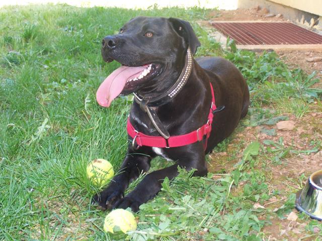 multimedia-foto41869-517-3