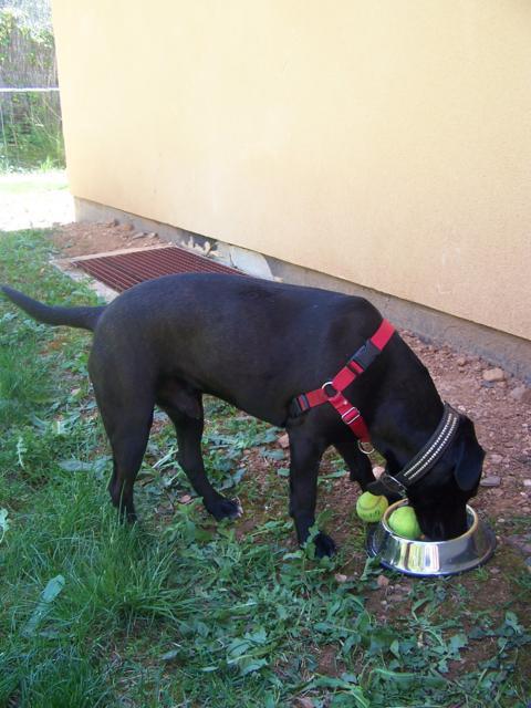 multimedia-foto41870-517-3