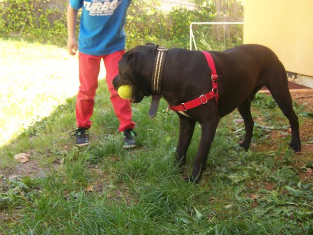 multimedia-foto41871-517-3