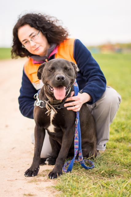 multimedia-foto41872-517-3