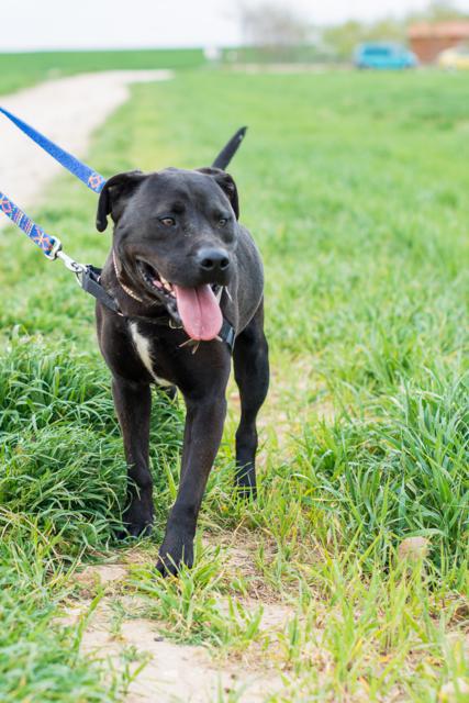 multimedia-foto41873-517-3