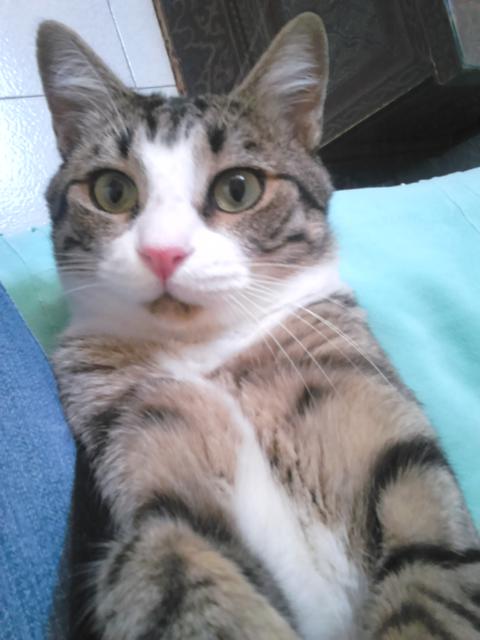 multimedia-foto41913-147-3