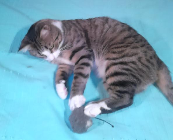 multimedia-foto41914-147-3