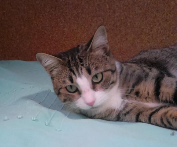 multimedia-foto41915-147-3