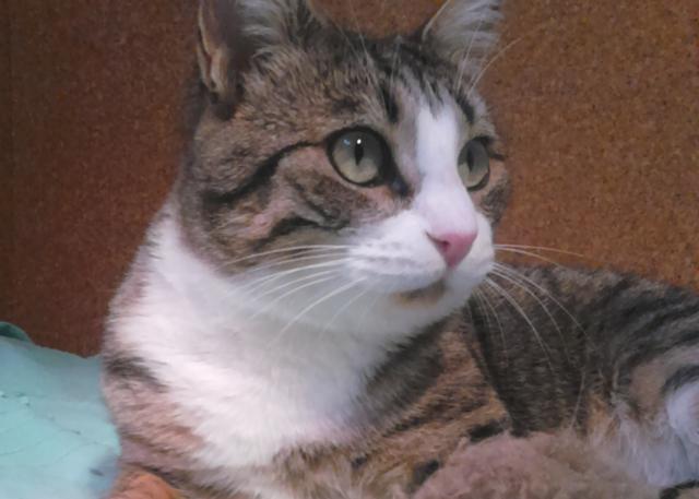 multimedia-foto41916-147-3