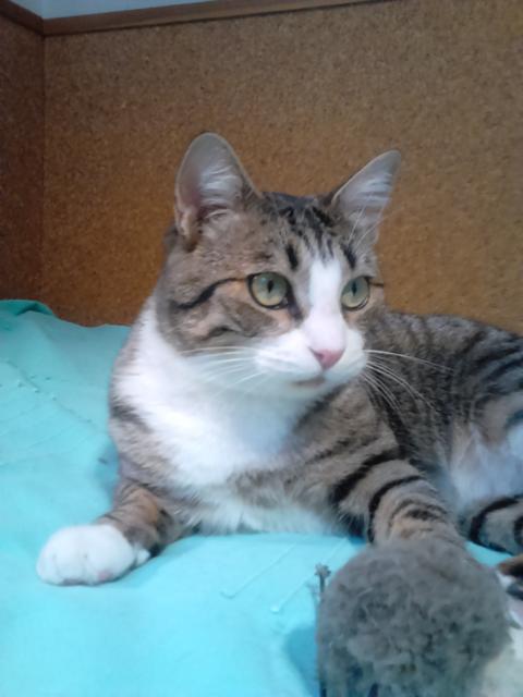 multimedia-foto41917-148-3