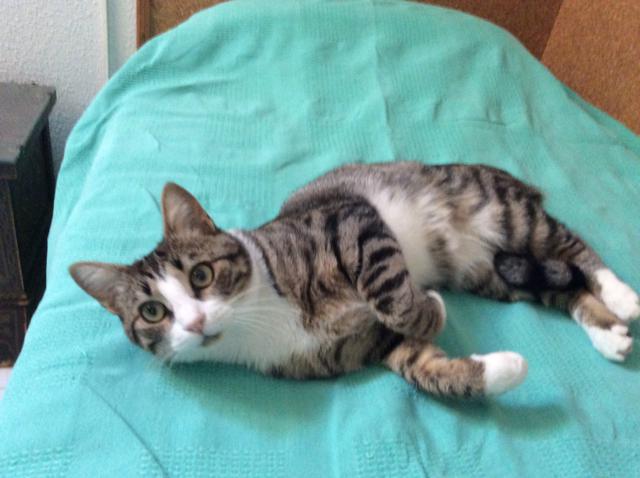 multimedia-foto41918-148-3