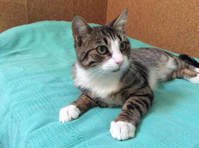 multimedia-foto41919-148-3