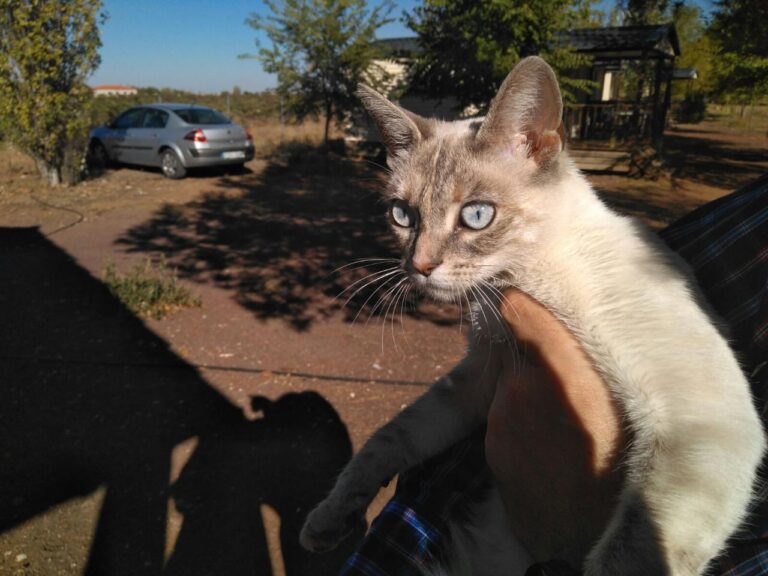 multimedia-foto41950-718-3