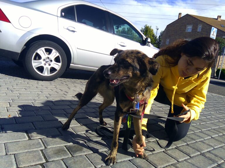 multimedia-foto41965-369-3