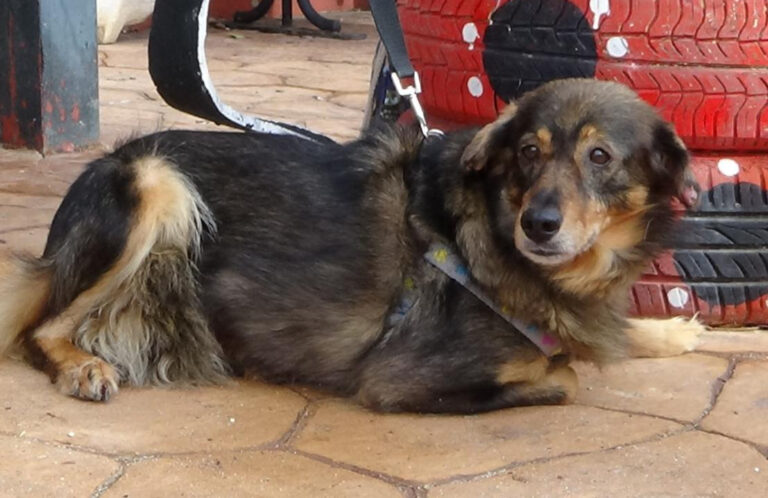 multimedia-foto41966-836-3