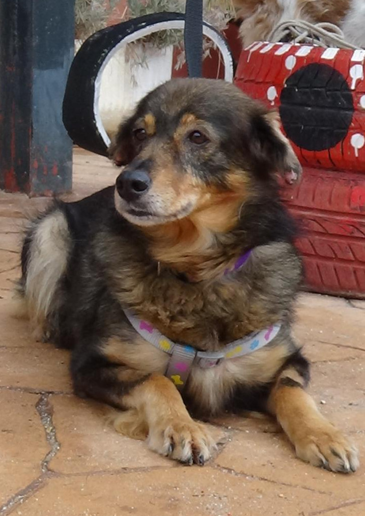 multimedia-foto41967-837-3