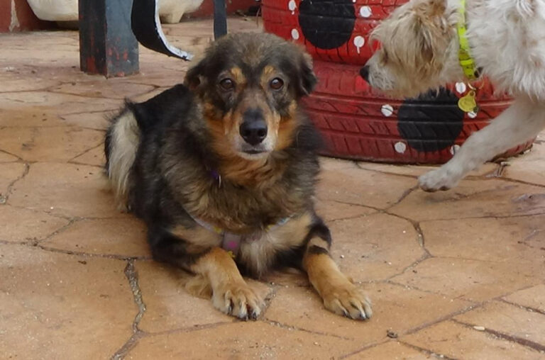 multimedia-foto41968-837-3