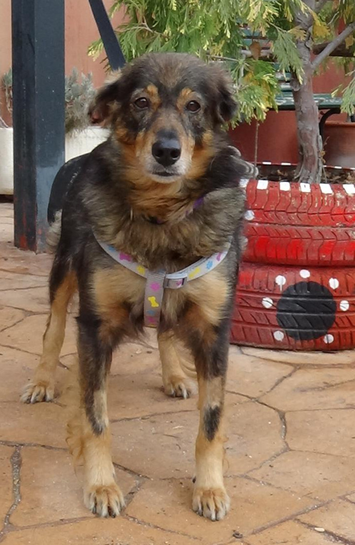 multimedia-foto41969-837-3