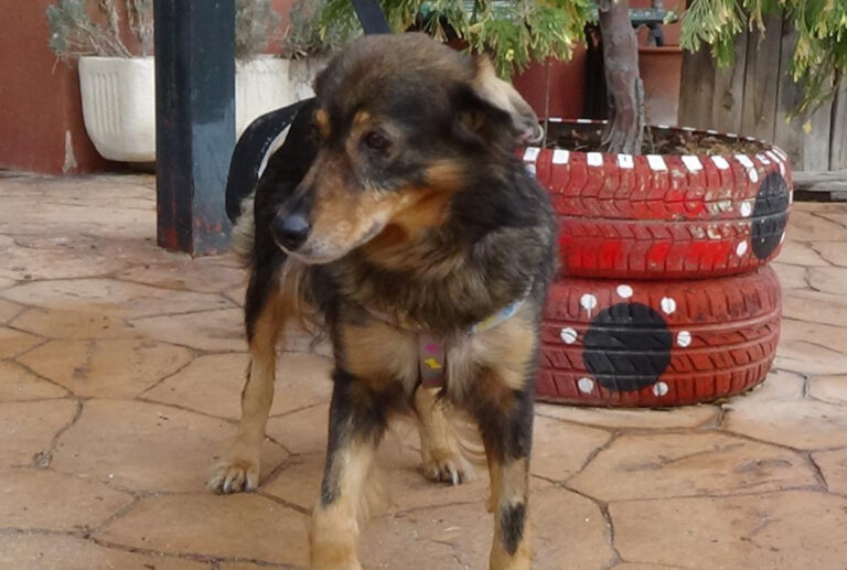 multimedia-foto41970-837-3