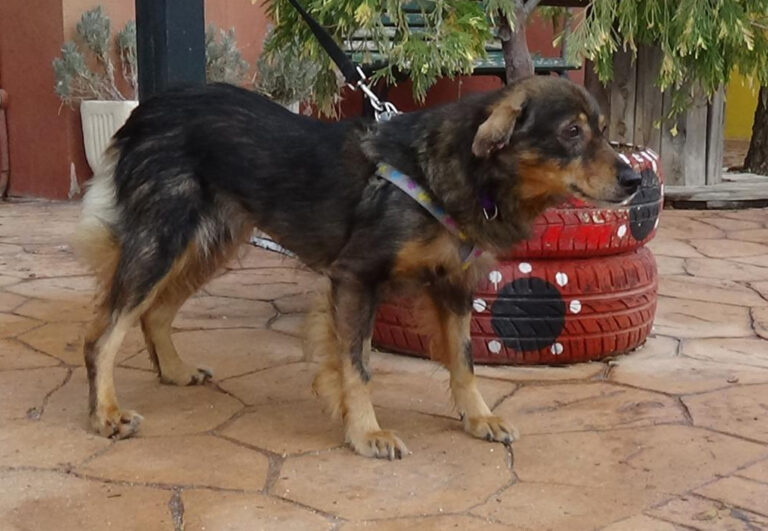 multimedia-foto41971-837-3