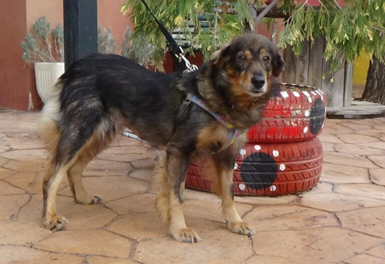 multimedia-foto41972-838-3