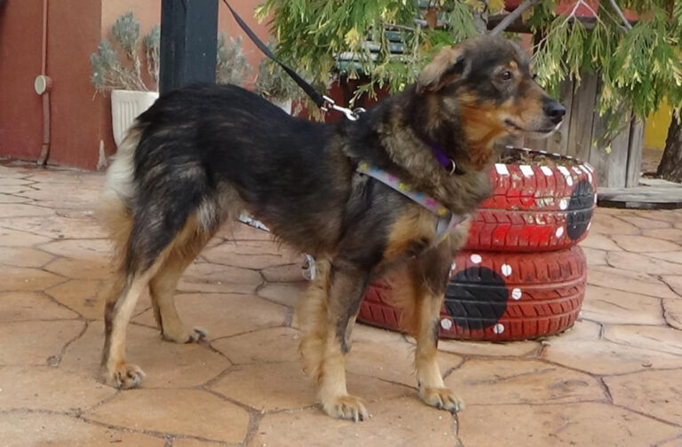 multimedia-foto41973-838-3