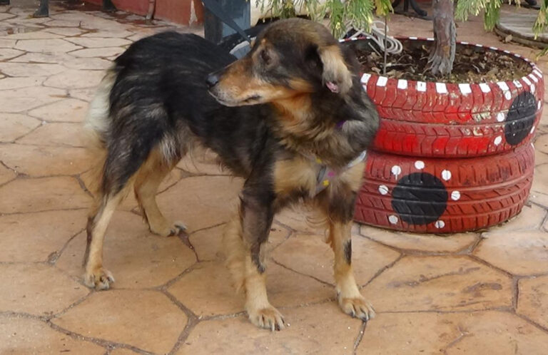 multimedia-foto41983-844-3