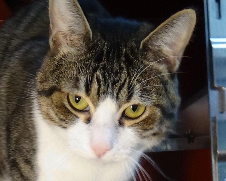 multimedia-foto41984-458-3