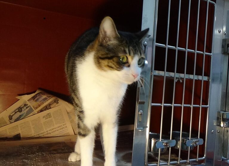 multimedia-foto41988-459-3