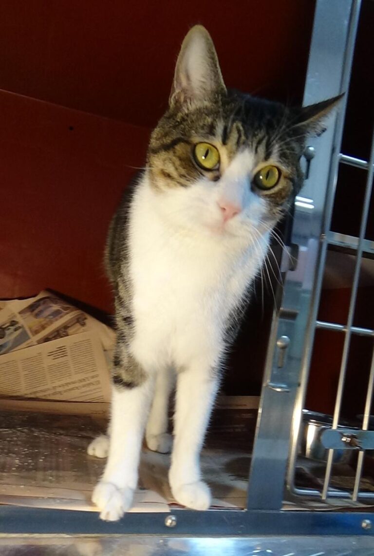 multimedia-foto41989-459-3