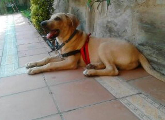 multimedia-foto42006-799-3