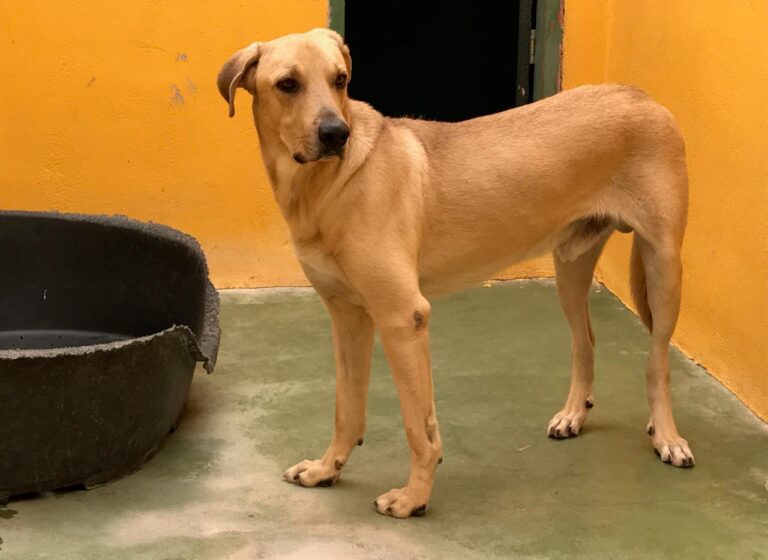 multimedia-foto42008-799-3