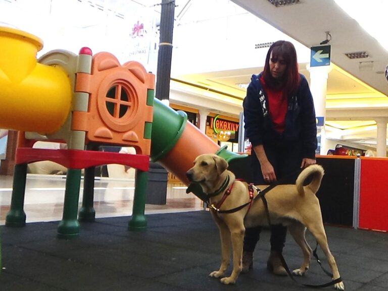 multimedia-foto42009-799-3