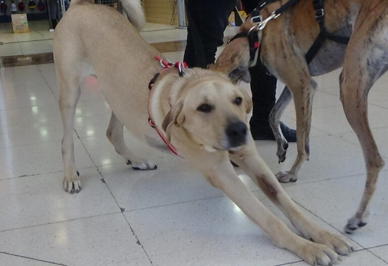 multimedia-foto42011-800-3