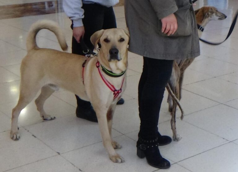 multimedia-foto42012-800-3