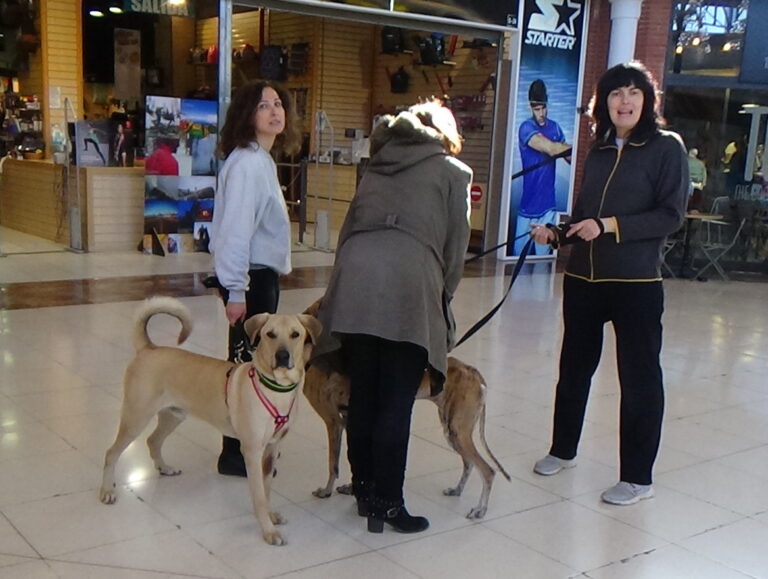 multimedia-foto42013-800-3