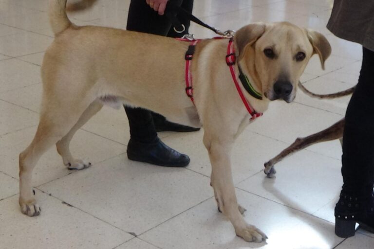 multimedia-foto42014-801-3