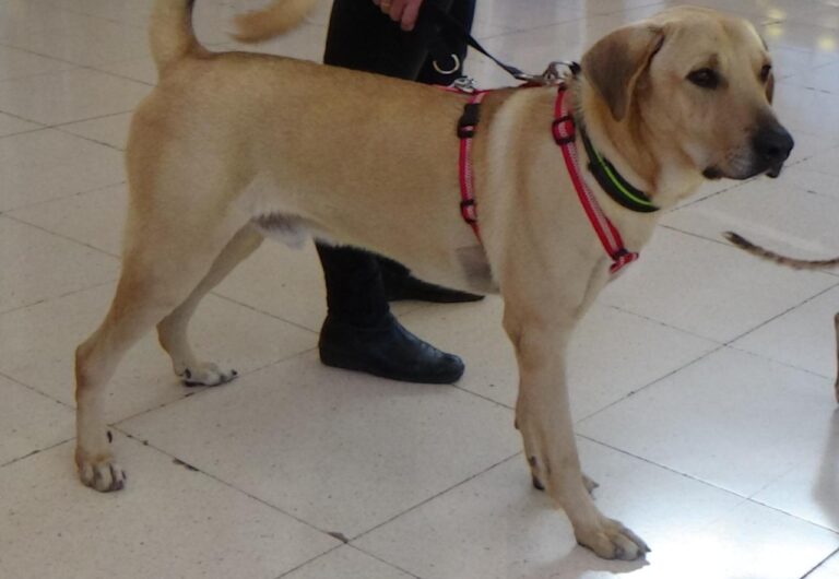 multimedia-foto42015-801-3