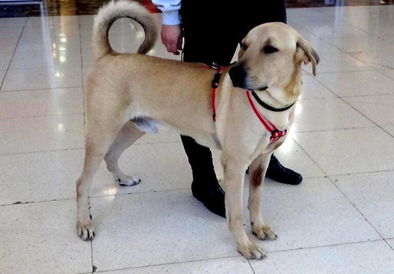 multimedia-foto42018-801-3