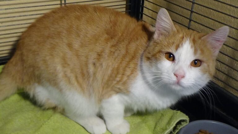 multimedia-foto42126-599-3