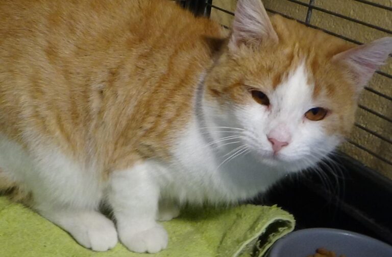 multimedia-foto42127-599-3