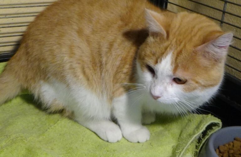 multimedia-foto42128-618-3