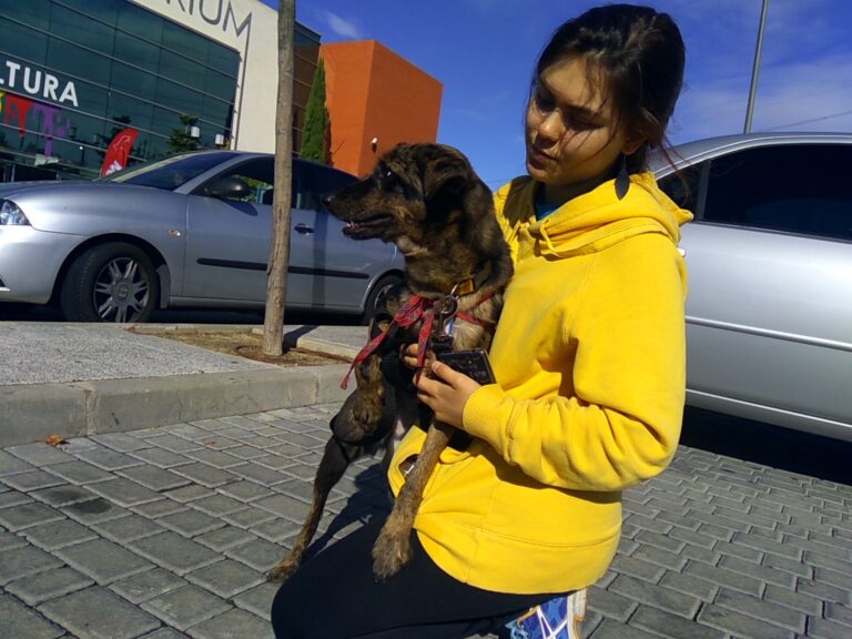 multimedia-foto42181-745-3