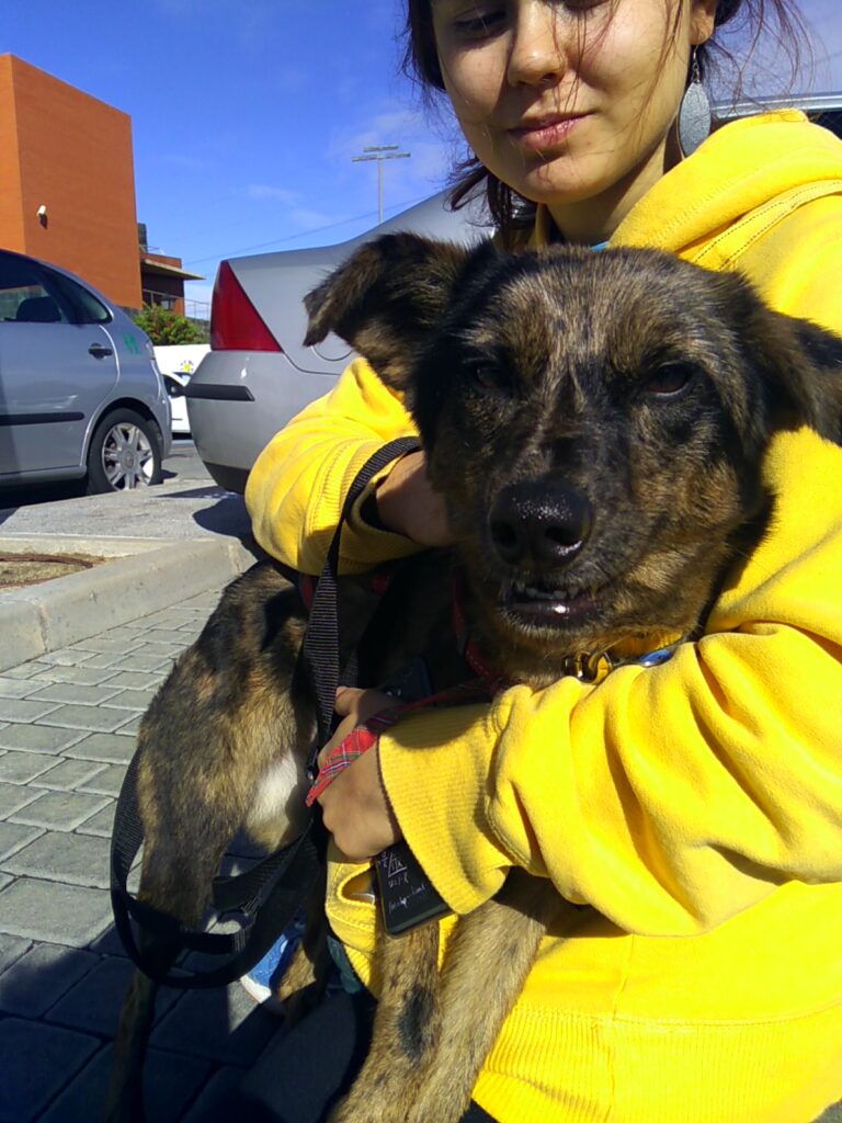 multimedia-foto42182-745-3