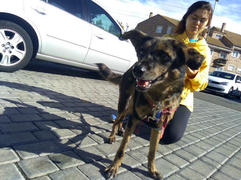 multimedia-foto42183-746-3