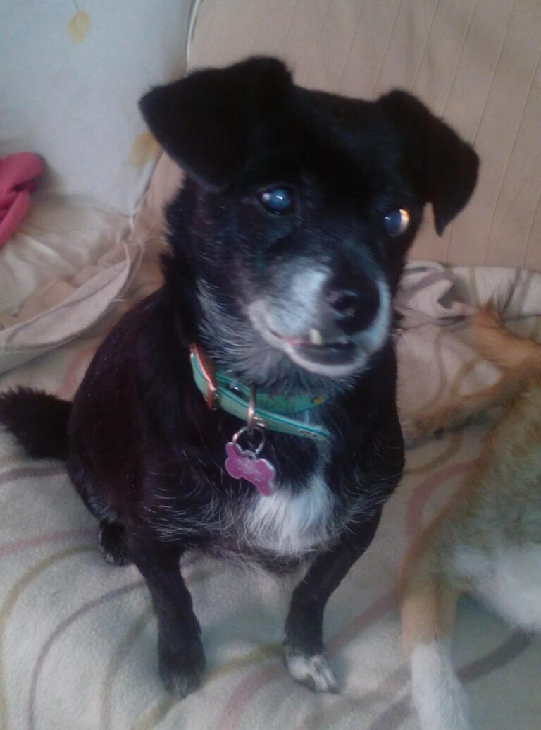 multimedia-foto42185-663-3