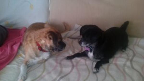 multimedia-foto42186-663-3