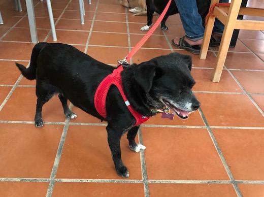 multimedia-foto42187-663-3